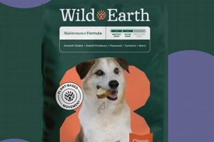 Decoding Wild Earth Dog Food Net Worth: Analysis & Facts World’s Most Delicious Foods: Must-Try Dishes from Every Country Decoding Wild Earth Dog Food Net Worth: Analysis & Facts | World’s Most Delicious Foods: Must-Try Dishes from Every Country