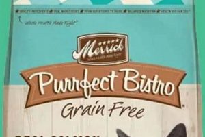 Best Merrick Cat Food Reviews: Is It Worth It? Safem Fabrication - Precision Engineering & Custom Manufacturing Solutions Best Merrick Cat Food Reviews: Is It Worth It? | Safem Fabrication - Precision Engineering & Custom Manufacturing Solutions