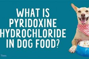 B6 Boost: Pyridoxine Hydrochloride in Dog Food? Nutrients Guide Safem Fabrication - Precision Engineering & Custom Manufacturing Solutions B6 Boost: Pyridoxine Hydrochloride in Dog Food? Nutrients Guide | Safem Fabrication - Precision Engineering & Custom Manufacturing Solutions