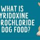 B6 Boost: Pyridoxine Hydrochloride in Dog Food? Nutrients Guide | World’s Most Delicious Foods: Must-Try Dishes from Every Country