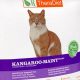 Best Kangaroo Cat Food: Health & Allergy Relief! | World’s Most Delicious Foods: Must-Try Dishes from Every Country
