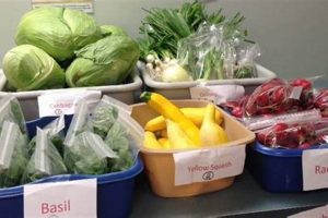 Muskegon MI Food Pantries: Find Help + Resources Safem Fabrication - Precision Engineering & Custom Manufacturing Solutions Muskegon MI Food Pantries: Find Help + Resources | Safem Fabrication - Precision Engineering & Custom Manufacturing Solutions