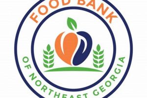 Your Guide to Food Banks in Rome GA: Find Help & Donate Safem Fabrication - Precision Engineering & Custom Manufacturing Solutions Your Guide to Food Banks in Rome GA: Find Help & Donate | Safem Fabrication - Precision Engineering & Custom Manufacturing Solutions