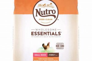 Best Small Breed Nutro Dog Food: Fuel Your Tiny Friend! Safem Fabrication - Precision Engineering & Custom Manufacturing Solutions Best Small Breed Nutro Dog Food: Fuel Your Tiny Friend! | Safem Fabrication - Precision Engineering & Custom Manufacturing Solutions
