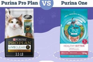 Purina Pro Plan Cat Food: Real Reviews, Real Results Safem Fabrication - Precision Engineering & Custom Manufacturing Solutions Purina Pro Plan Cat Food: Real Reviews, Real Results | Safem Fabrication - Precision Engineering & Custom Manufacturing Solutions