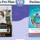 Purina Pro Plan Cat Food: Real Reviews, Real Results | World’s Most Delicious Foods: Must-Try Dishes from Every Country