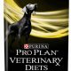 Neurocare: Purina's Dog Food for Brain Health in Seniors | World’s Most Delicious Foods: Must-Try Dishes from Every Country
