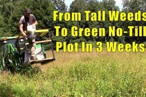 Achieve the Best No Till Food Plot: A Quick Guide! Safem Fabrication - Precision Engineering & Custom Manufacturing Solutions Achieve the Best No Till Food Plot: A Quick Guide! | Safem Fabrication - Precision Engineering & Custom Manufacturing Solutions