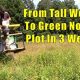 Achieve the Best No Till Food Plot: A Quick Guide! | World’s Most Delicious Foods: Must-Try Dishes from Every Country
