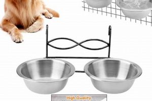 Best Food & Water Bowl for Dog Crate: Safe & Easy! World’s Most Delicious Foods: Must-Try Dishes from Every Country Best Food & Water Bowl for Dog Crate: Safe & Easy! | World’s Most Delicious Foods: Must-Try Dishes from Every Country