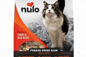 Is Nulo Freeze Dried Cat Food The Best? (Review) World’s Most Delicious Foods: Must-Try Dishes from Every Country Is Nulo Freeze Dried Cat Food The Best? (Review) | World’s Most Delicious Foods: Must-Try Dishes from Every Country