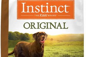 Is Duck Dog Food Best? +Benefits, Pros, Cons World’s Most Delicious Foods: Must-Try Dishes from Every Country Is Duck Dog Food Best? +Benefits, Pros, Cons | World’s Most Delicious Foods: Must-Try Dishes from Every Country