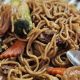 Discover Payson's Best Thai Food: Flavors & More! | World’s Most Delicious Foods: Must-Try Dishes from Every Country
