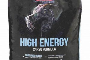 Fueling Fido: Best High Energy Dog Food for Active Dogs World’s Most Delicious Foods: Must-Try Dishes from Every Country Fueling Fido: Best High Energy Dog Food for Active Dogs | World’s Most Delicious Foods: Must-Try Dishes from Every Country