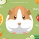 Diet Dilemma: Can Rabbits and Guinea Pigs Eat the Same Food? | World’s Most Delicious Foods: Must-Try Dishes from Every Country