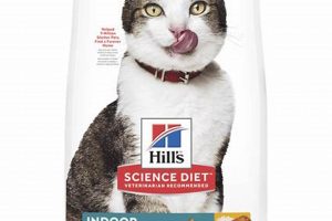 Best 7 11 Cat Food: Brands & Buying Guide Felines Love! World’s Most Delicious Foods: Must-Try Dishes from Every Country Best 7 11 Cat Food: Brands & Buying Guide Felines Love! | World’s Most Delicious Foods: Must-Try Dishes from Every Country