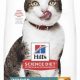 Best 7 11 Cat Food: Brands &amp; Buying Guide Felines Love! | World’s Most Delicious Foods: Must-Try Dishes from Every Country