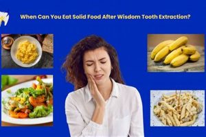 Start Solid Food After Tooth Extraction? The Timeline World’s Most Delicious Foods: Must-Try Dishes from Every Country Start Solid Food After Tooth Extraction? The Timeline | World’s Most Delicious Foods: Must-Try Dishes from Every Country