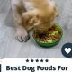 Best Good Dog Food for Joint Health: Reviews & Tips | World’s Most Delicious Foods: Must-Try Dishes from Every Country