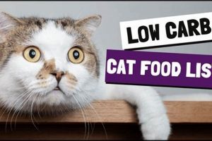The Best Low Carb Cat Food For A Healthy Cat Safem Fabrication - Precision Engineering & Custom Manufacturing Solutions The Best Low Carb Cat Food For A Healthy Cat | Safem Fabrication - Precision Engineering & Custom Manufacturing Solutions