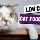 The Best Low Carb Cat Food For A Healthy Cat | World’s Most Delicious Foods: Must-Try Dishes from Every Country