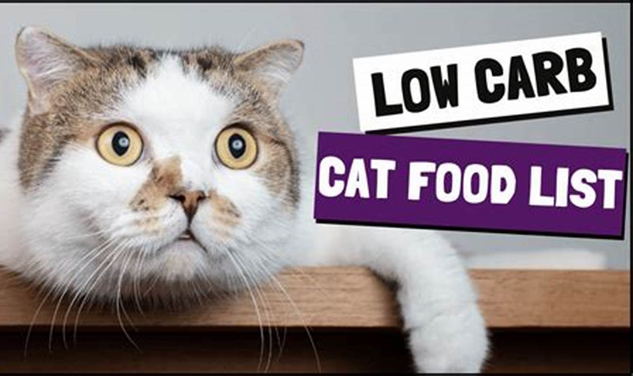 The Best Low Carb Cat Food For A Healthy Cat Safem Fabrication - Precision Engineering & Custom Manufacturing Solutions The Best Low Carb Cat Food For A Healthy Cat | Safem Fabrication - Precision Engineering & Custom Manufacturing Solutions