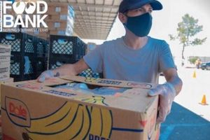 Become a San Antonio Food Bank Volunteer Today! World’s Most Delicious Foods: Must-Try Dishes from Every Country Become a San Antonio Food Bank Volunteer Today! | World’s Most Delicious Foods: Must-Try Dishes from Every Country