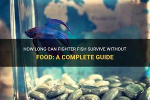 Fishy Fasting: How Long Can Fish Survive Without Food? Safem Fabrication - Precision Engineering & Custom Manufacturing Solutions Fishy Fasting: How Long Can Fish Survive Without Food? | Safem Fabrication - Precision Engineering & Custom Manufacturing Solutions