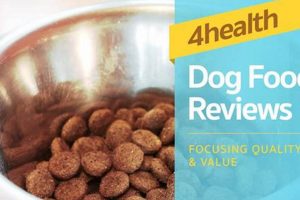 Honest 4health Dog Food Reviews: Is It Right for Your Pup? World’s Most Delicious Foods: Must-Try Dishes from Every Country Honest 4health Dog Food Reviews: Is It Right for Your Pup? | World’s Most Delicious Foods: Must-Try Dishes from Every Country