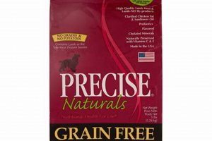The Benefits of Precise Dog Food: A Complete Guide World’s Most Delicious Foods: Must-Try Dishes from Every Country The Benefits of Precise Dog Food: A Complete Guide | World’s Most Delicious Foods: Must-Try Dishes from Every Country