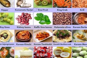 K-Start Foods: Delicious Dishes that Start with K! World’s Most Delicious Foods: Must-Try Dishes from Every Country K-Start Foods: Delicious Dishes that Start with K! | World’s Most Delicious Foods: Must-Try Dishes from Every Country