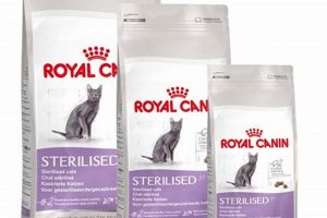 Best Food for Sterilized Cats: Fueling Post-Op Health Safem Fabrication - Precision Engineering & Custom Manufacturing Solutions Best Food for Sterilized Cats: Fueling Post-Op Health | Safem Fabrication - Precision Engineering & Custom Manufacturing Solutions