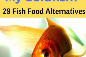 Beyond Flakes: What *Can* Goldfish Eat Besides Fish Food? Guide World’s Most Delicious Foods: Must-Try Dishes from Every Country Beyond Flakes: What *Can* Goldfish Eat Besides Fish Food? Guide | World’s Most Delicious Foods: Must-Try Dishes from Every Country