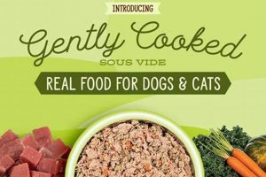 Why Gently Cooked Cat Food Is Best + Recipes World’s Most Delicious Foods: Must-Try Dishes from Every Country Why Gently Cooked Cat Food Is Best + Recipes | World’s Most Delicious Foods: Must-Try Dishes from Every Country