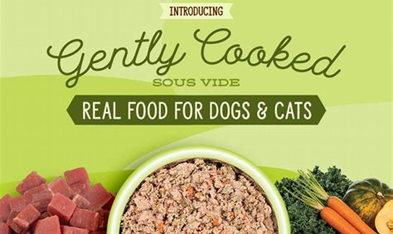 Why Gently Cooked Cat Food Is Best + Recipes Safem Fabrication - Precision Engineering & Custom Manufacturing Solutions Why Gently Cooked Cat Food Is Best + Recipes | Safem Fabrication - Precision Engineering & Custom Manufacturing Solutions