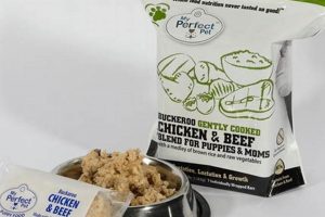 The *Perfect Pet Dog Food* Guide: Expert Nutrition Tips Safem Fabrication - Precision Engineering & Custom Manufacturing Solutions The *Perfect Pet Dog Food* Guide: Expert Nutrition Tips | Safem Fabrication - Precision Engineering & Custom Manufacturing Solutions