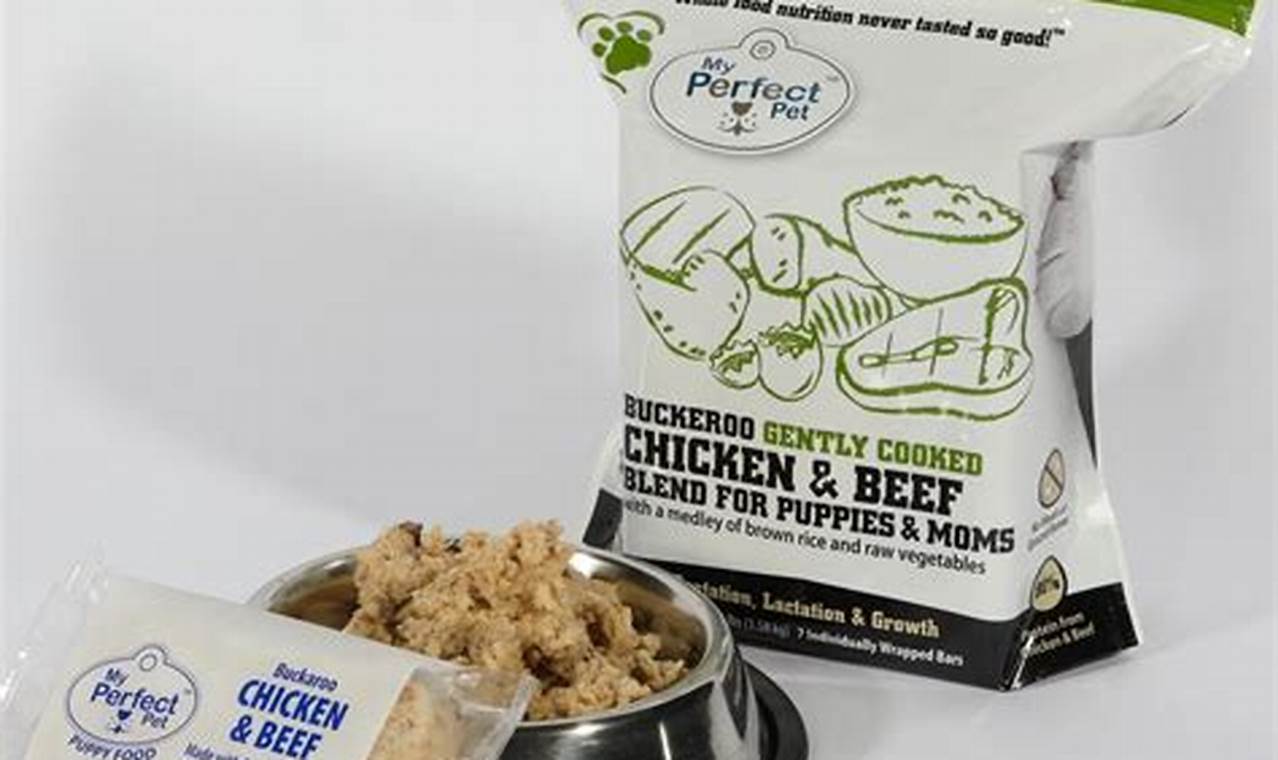 The *Perfect Pet Dog Food* Guide: Expert Nutrition Tips Safem Fabrication - Precision Engineering & Custom Manufacturing Solutions The *Perfect Pet Dog Food* Guide: Expert Nutrition Tips | Safem Fabrication - Precision Engineering & Custom Manufacturing Solutions