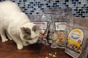 Why Fresh Is Best Cat Food: Benefits & Recipes Safem Fabrication - Precision Engineering & Custom Manufacturing Solutions Why Fresh Is Best Cat Food: Benefits & Recipes | Safem Fabrication - Precision Engineering & Custom Manufacturing Solutions