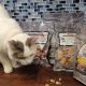 Why Fresh Is Best Cat Food: Benefits & Recipes | World’s Most Delicious Foods: Must-Try Dishes from Every Country