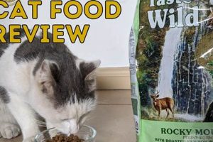 The Ultimate Taste of the Wild Cat Food Reviews: Is It Worth It? World’s Most Delicious Foods: Must-Try Dishes from Every Country The Ultimate Taste of the Wild Cat Food Reviews: Is It Worth It? | World’s Most Delicious Foods: Must-Try Dishes from Every Country