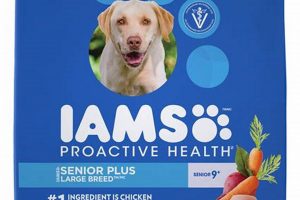 Best Senior Dog Food Large Breed for Happy Dogs! World’s Most Delicious Foods: Must-Try Dishes from Every Country Best Senior Dog Food Large Breed for Happy Dogs! | World’s Most Delicious Foods: Must-Try Dishes from Every Country
