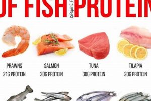 Best High Protein Fish Food Guide: Fueling Aquatic Life World’s Most Delicious Foods: Must-Try Dishes from Every Country Best High Protein Fish Food Guide: Fueling Aquatic Life | World’s Most Delicious Foods: Must-Try Dishes from Every Country