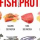 Best High Protein Fish Food Guide: Fueling Aquatic Life | World’s Most Delicious Foods: Must-Try Dishes from Every Country