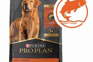 Best Salmon Dog Food: Your Pup's Shiny Coat Secret! World’s Most Delicious Foods: Must-Try Dishes from Every Country Best Salmon Dog Food: Your Pup's Shiny Coat Secret! | World’s Most Delicious Foods: Must-Try Dishes from Every Country