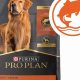Best Salmon Dog Food: Your Pup's Shiny Coat Secret! | World’s Most Delicious Foods: Must-Try Dishes from Every Country