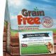 Best Grain & Potato Free Dog Food: Healthier Options | World’s Most Delicious Foods: Must-Try Dishes from Every Country