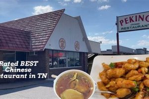 Best Chinese Food in Cleveland TN: Your Guide! World’s Most Delicious Foods: Must-Try Dishes from Every Country Best Chinese Food in Cleveland TN: Your Guide! | World’s Most Delicious Foods: Must-Try Dishes from Every Country