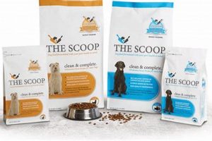 Best Dog Food Scoop: Portion Perfection for Your Pup! World’s Most Delicious Foods: Must-Try Dishes from Every Country Best Dog Food Scoop: Portion Perfection for Your Pup! | World’s Most Delicious Foods: Must-Try Dishes from Every Country
