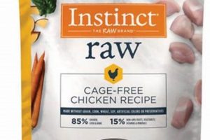 Benefits of Frozen Raw Cat Food: Is It Right for Your Cat? World’s Most Delicious Foods: Must-Try Dishes from Every Country Benefits of Frozen Raw Cat Food: Is It Right for Your Cat? | World’s Most Delicious Foods: Must-Try Dishes from Every Country
