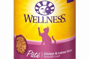 Best Wet Grain-Free Cat Food: Healthy & Delicious! World’s Most Delicious Foods: Must-Try Dishes from Every Country Best Wet Grain-Free Cat Food: Healthy & Delicious! | World’s Most Delicious Foods: Must-Try Dishes from Every Country